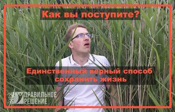 Ваша жизнь - это поле густой и высокой травы. Как не заблудиться в жизни?